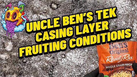 Uncle Ben's Tek Casing Layer & Fruiting Conditions - S2 EP2