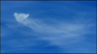 Crazy Cloud Cam | Image Set 039 | Obvi