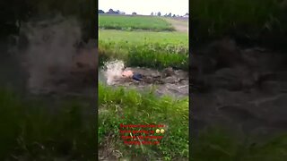 Swimming in ditch is crazyyy🤣 #lit #funnycomedy #funny #apf #lit #comedy