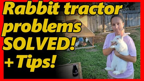SOLVED! My cheap diy rabbit tractor build from reclaimed, scrap wood had problems.
