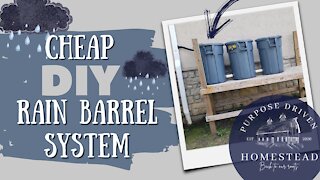 Cheap DIY Rain Barrel System
