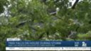 Tree falls on house during storm