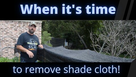 When it's time to remove shade cloth!