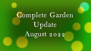 Garden Update August 2022