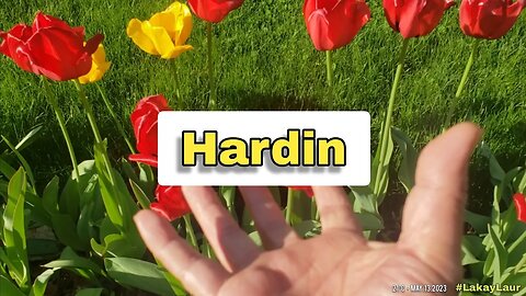 Hardin 🍁 Buhay Canada, Buhay Amerika • Lakay