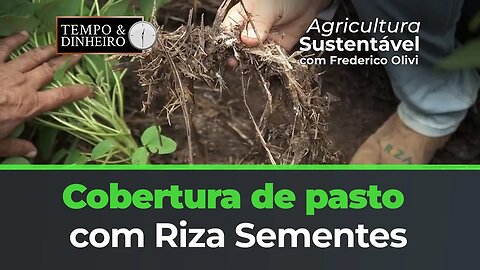 Cobertura de pasto com Riza Sementes