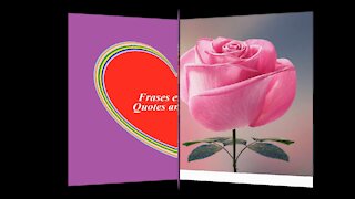 A true friend is like a rose: Never hurts you, has no thorns [Quotes and Poems]