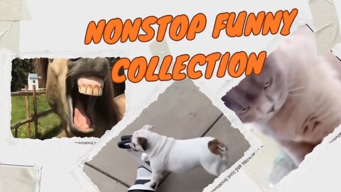 Funny video🐕NonStop funny 🤣funny animals on earth 🌍 😄, funny dogs 🐕, animals 😄video Part 8