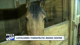 Lothlorien therapeutic riding center helps veterans, people with disabilities