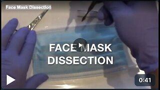 Face Mask Dissection