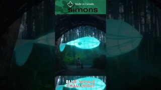 The Simons Canada, Blue Whale Challenge?!