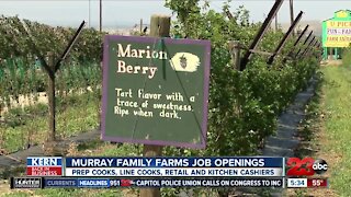 Murray Family Farms hiring for summer season