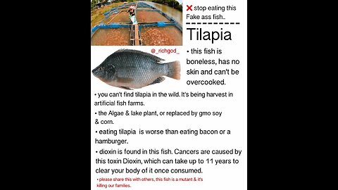 TILAPIA BONELESS LAB FAKE FISH: DIOXIN IS FOUND IN THIS FISH. CANCERS ARE CAUSED BY THIS TOXIN DIOXIN.🕎Ezekiel 4;10-16 “THE CHILDREN OF ISRAEL EAT THEIR DEFILED BREAD AMONG THE GENTILES”