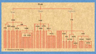 DNA and Babel and human migration