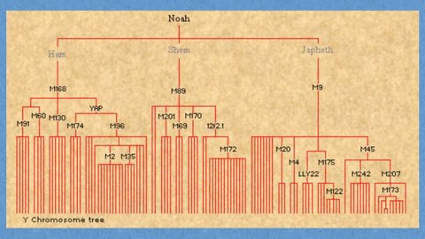 DNA and Babel and human migration