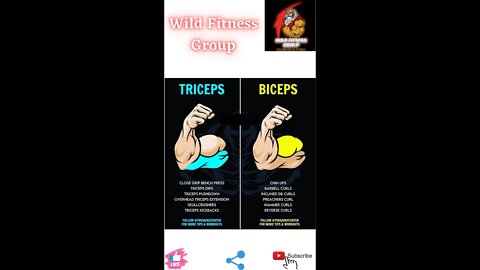 🔥Triceps v/s biceps🔥#fitness🔥#wildfitnessgroup🔥#shorts🔥