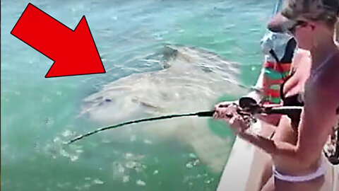 10 Shocking Fishing Moments Caught On Camera