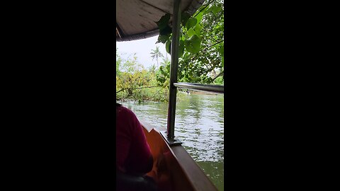 Boat riding in mangrove forest