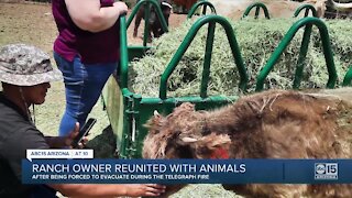 Ranch owner reunited with animals after Telegraph Fire