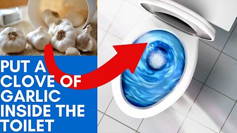 Put a Clove of Garlic Inside The Toilet at Night For This Brilliant Reason