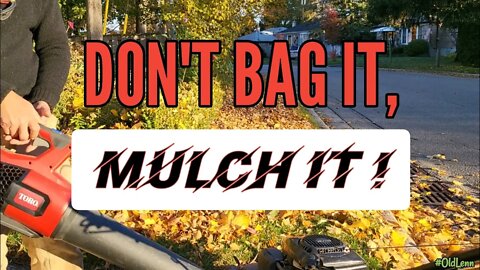DONT BAG THEM ! MULCH 'EM !
