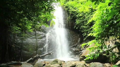 Enchanting Waterfall: The Magical Place You Need to See in Reality