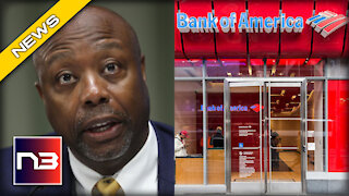 Tim Scott UNLEASHES on Bank CEO’s Pushing Woke Capitalism