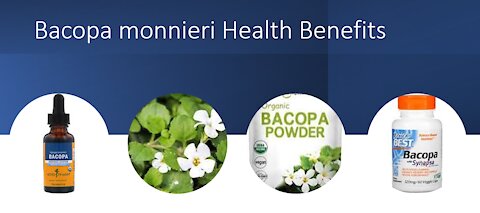 Bacopa's Brain Benefits