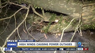 Strong, gusty winds causes power outages and toppled trees across Maryland