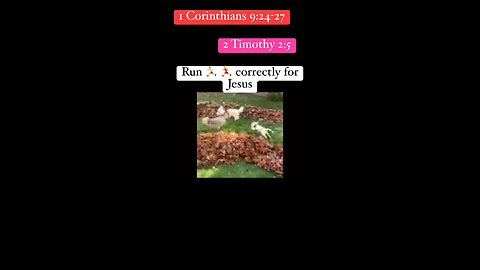Run for Jesus - run the race correctly. Love You Jesus #Jesus #race #shorts