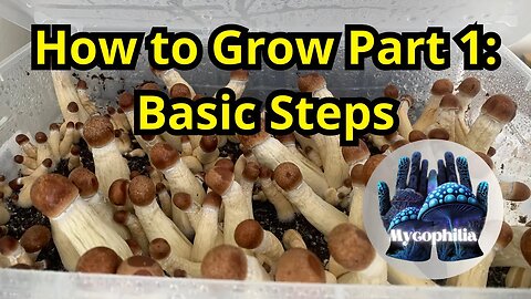 Want to Grow Mushrooms? Start Here! (Mushroom Mastery Series Pt. 1, Basic Steps, 2023) Mycology