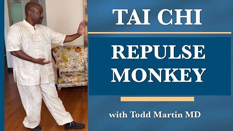 Tai Chi 24 Form Lesson 5 Repulse Monkey with Todd Martin MD