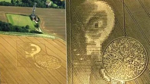 The Real Story Behind Crop Circles