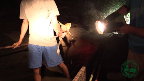 Season 2, Ep. 05: Frog Gigging | Altamaha River Sportsman