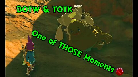 BOTW & TOTK: It's One Of THOSE Moments....