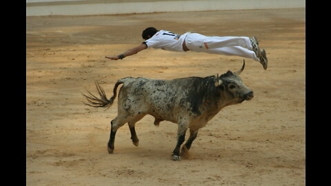 WHY WOULD YOU DO THIS AT A BULL FIGHT ??? CRAZY HUMAN COMPILATION