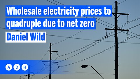 Wholesale electricity prices to quadruple due to net zero: Daniel Wild from the IPA | Alan Jones