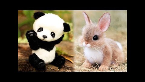 Cute Animals - Funny Cute 😘Animals Cute Moments Compilation