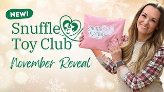 November Snuffle Dog Toy Box Kit Reveal 👀