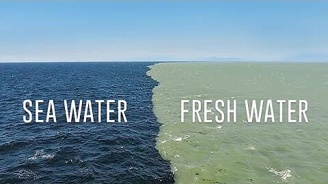 Fresh Water Meets Sea Water – Boundary Explained😰😰