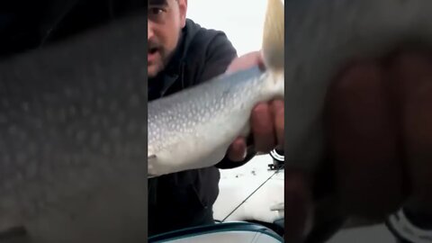 Lake Trout Fishing in Wyoming