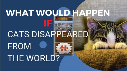 what would happen if cats disappeared from the world?