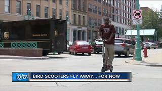 Bird voluntarily removes scooters from Milwaukee