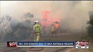 Oklahoma City Zoo donates $10k to help Australia wildlife