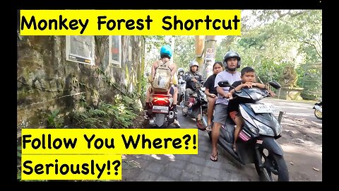 Ubud Monkey Forest shortcut! Motorbike ride through the monkey forest.