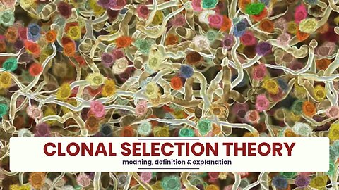 What is CLONAL SELECTION THEORY?