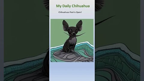 Chihuahua - Pools are open! #shorts