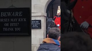 Guard shouts at tourist for pulling on the reins #horseguardsparade