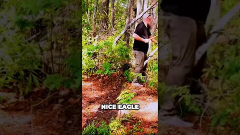 Epic Eagle Encounter: Marvel at Nature's Magnificence!