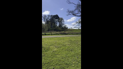 Morning walk 🌿🌳📸